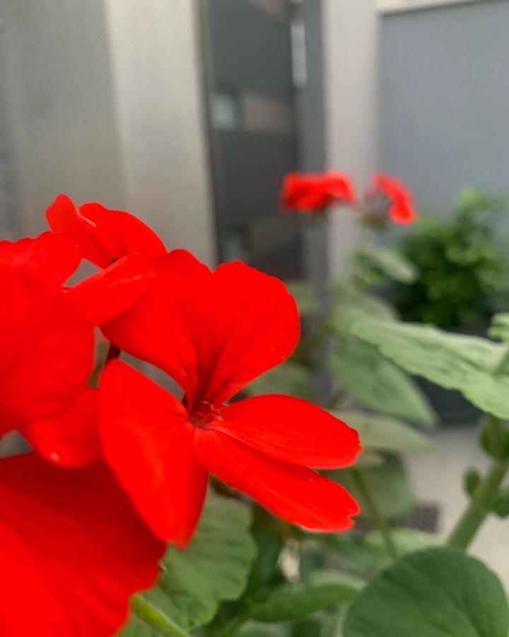 Villa Mare'S 2 Сплит Экстерьер фото